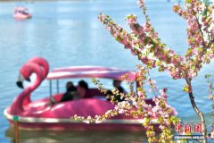 清明假期北京接待游客超千万人次 同比增4.4%